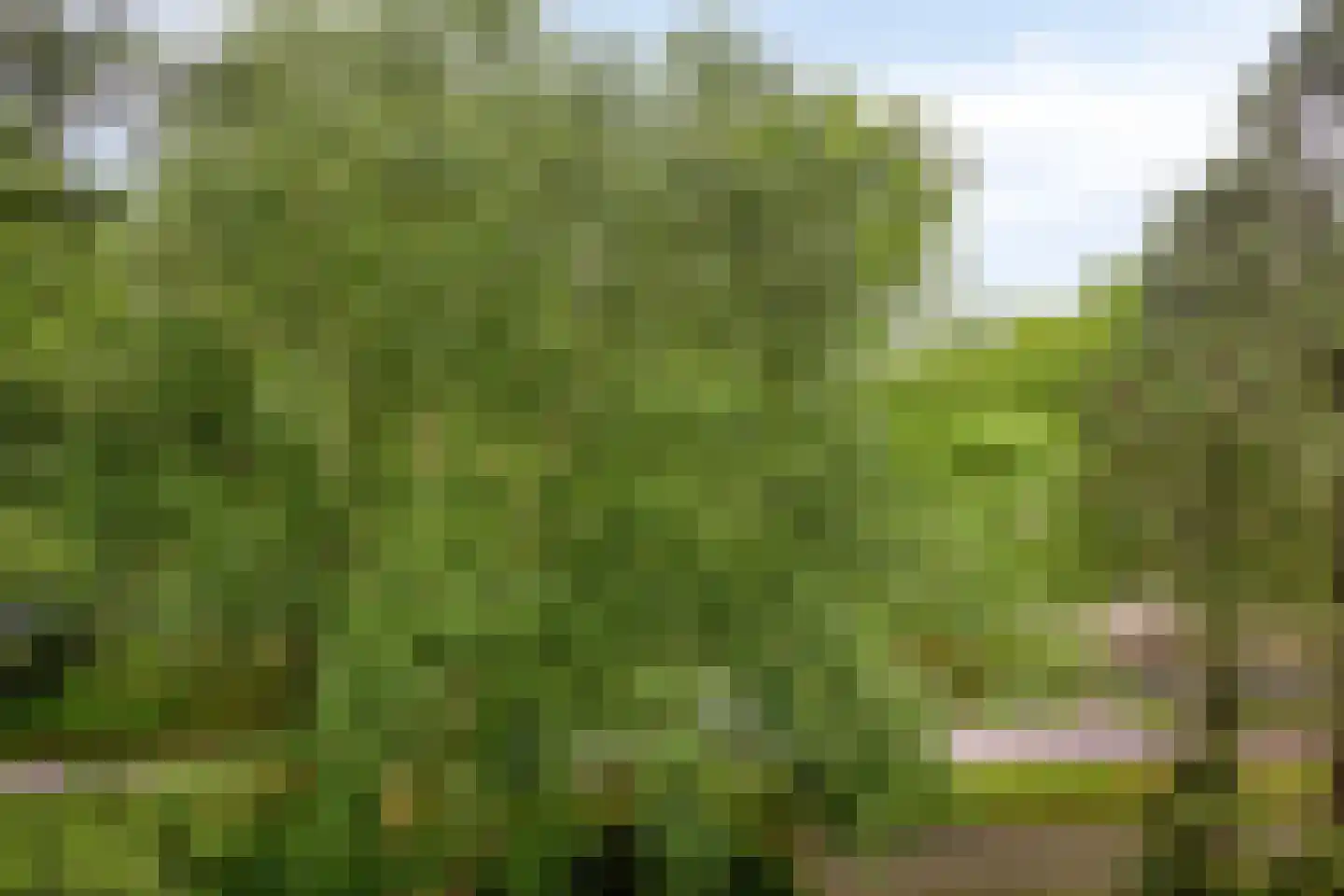de Koppele 261 Eindhoven thumbnail 30