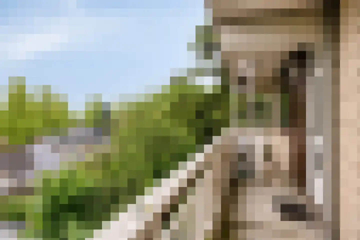 de Koppele 261 Eindhoven thumbnail 9