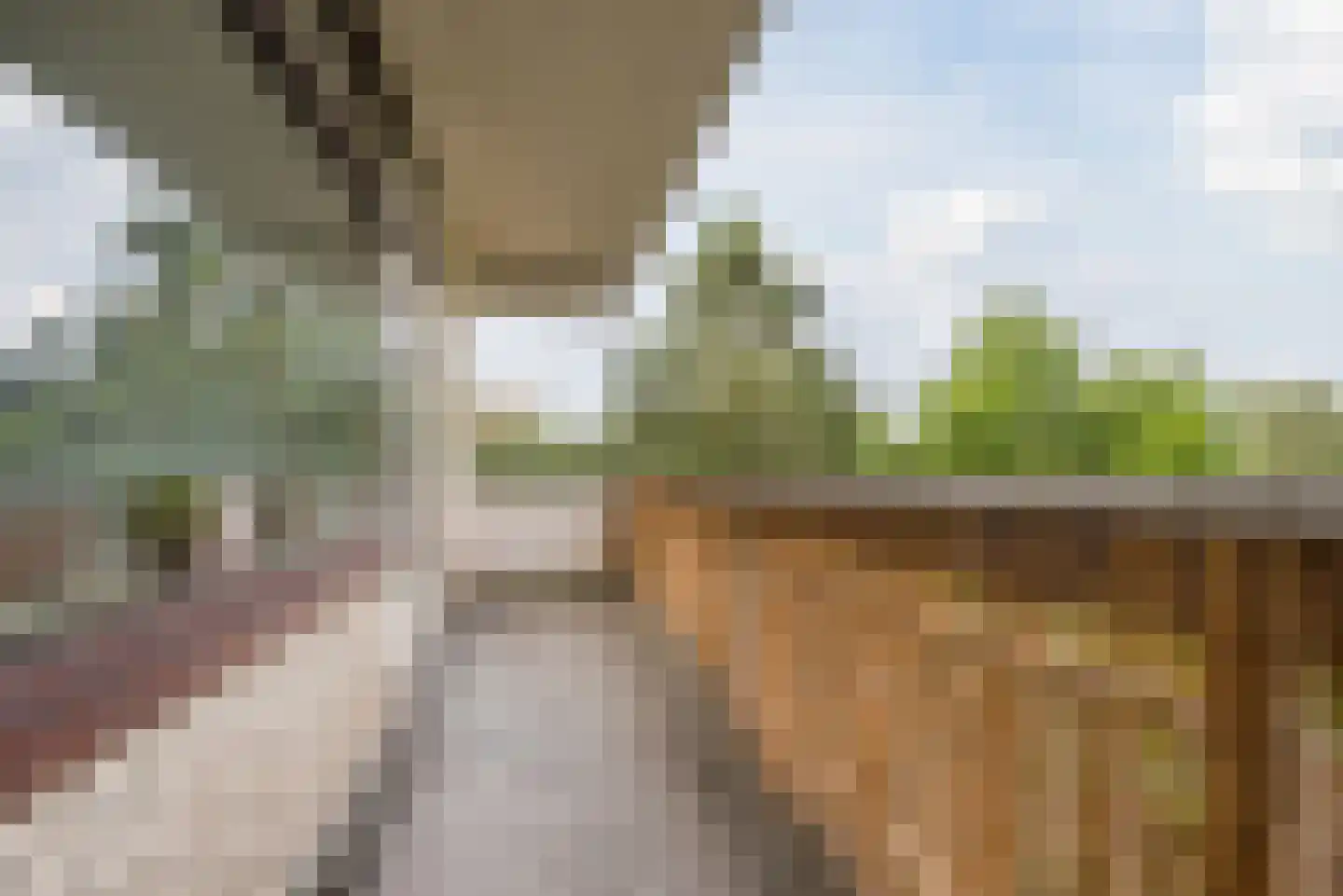 de Koppele 287 Eindhoven thumbnail 19