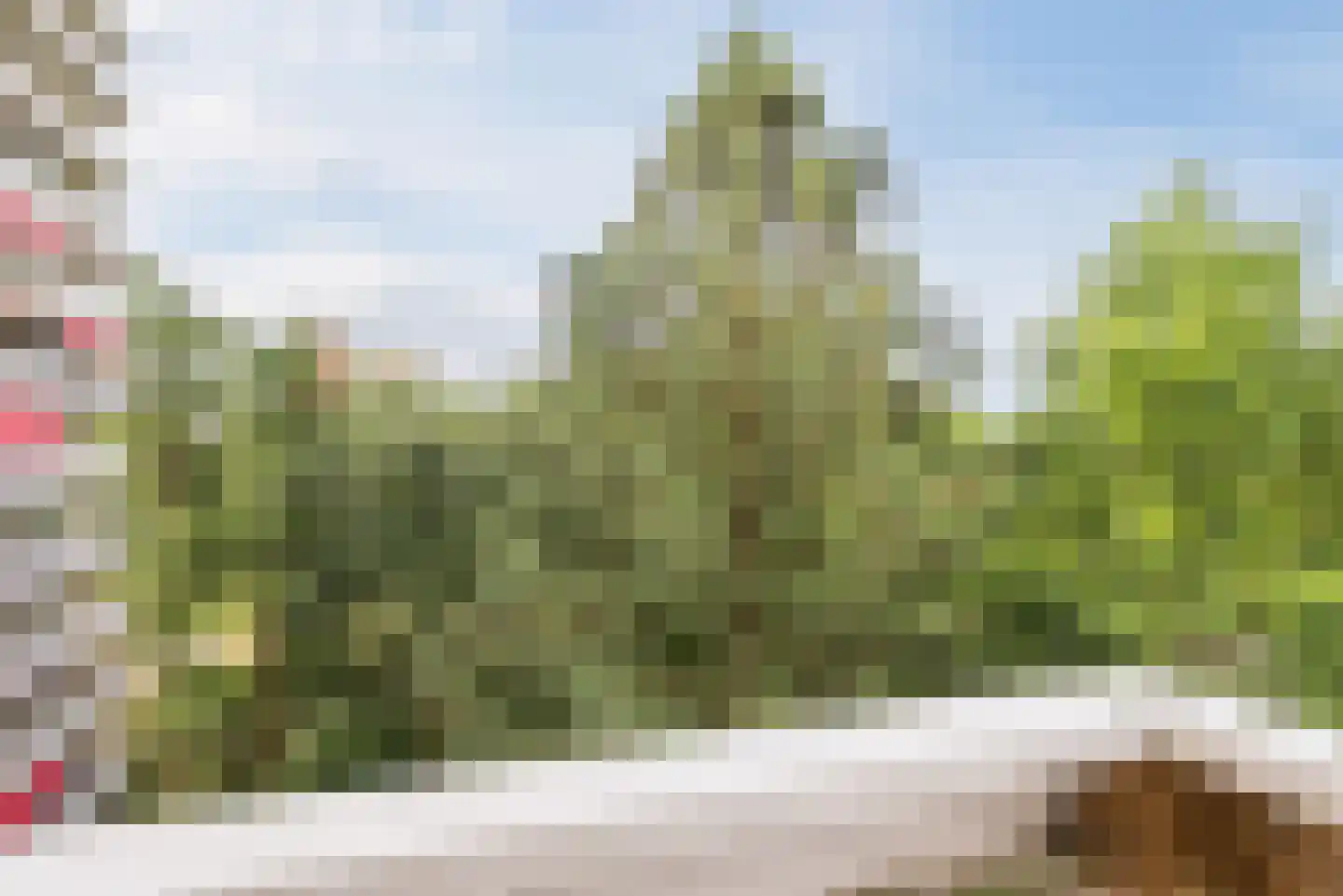 de Koppele 287 Eindhoven thumbnail 20