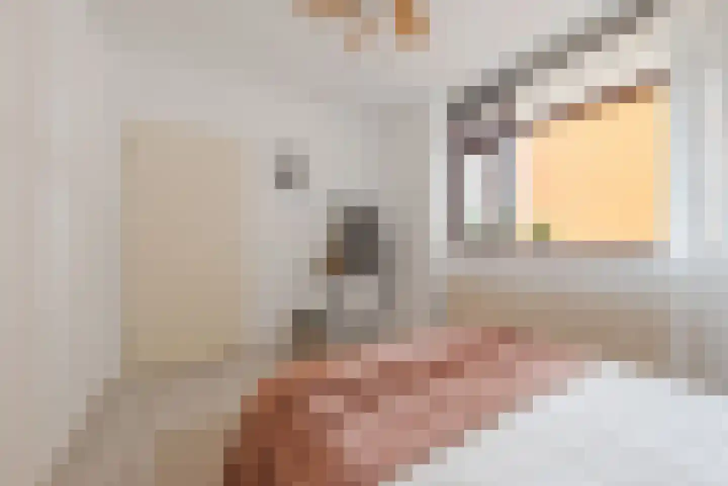 de Koppele 287 Eindhoven thumbnail 24