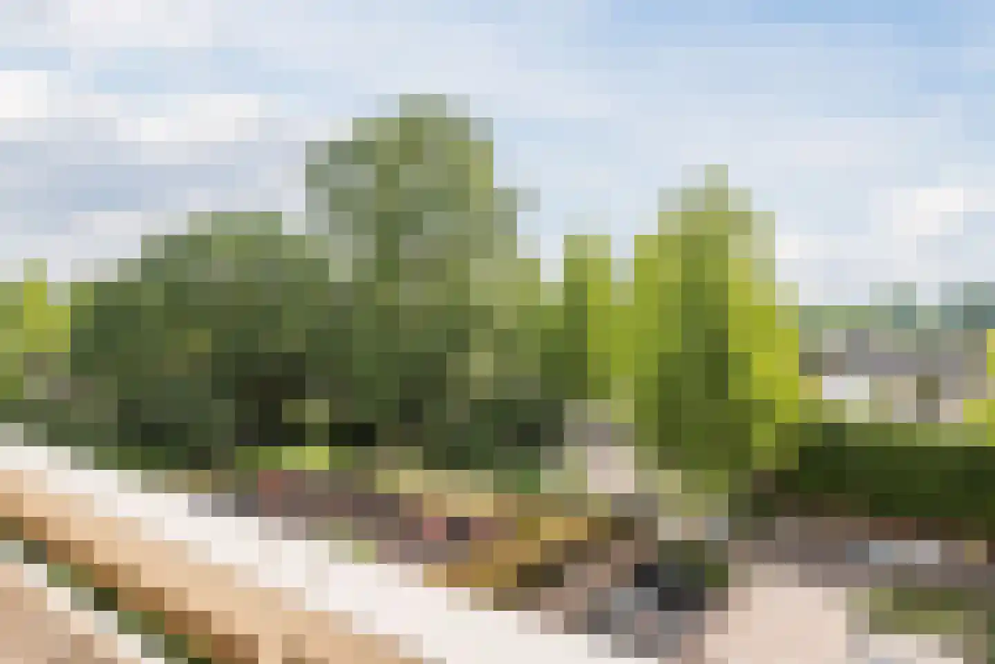 de Koppele 287 Eindhoven thumbnail 8
