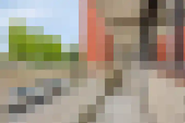 de Koppele 31 Eindhoven thumbnail 10
