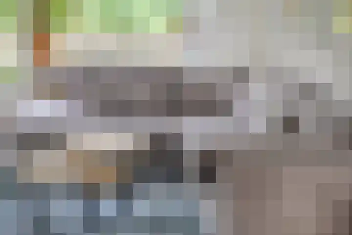de Koppele 31 Eindhoven thumbnail 16