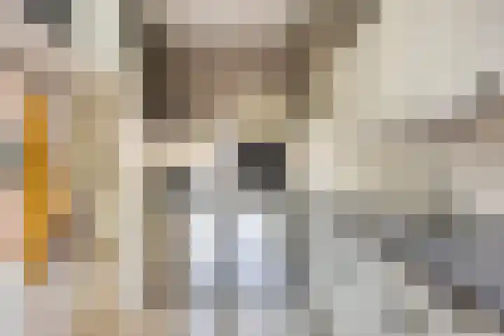 de Koppele 31 Eindhoven thumbnail 20