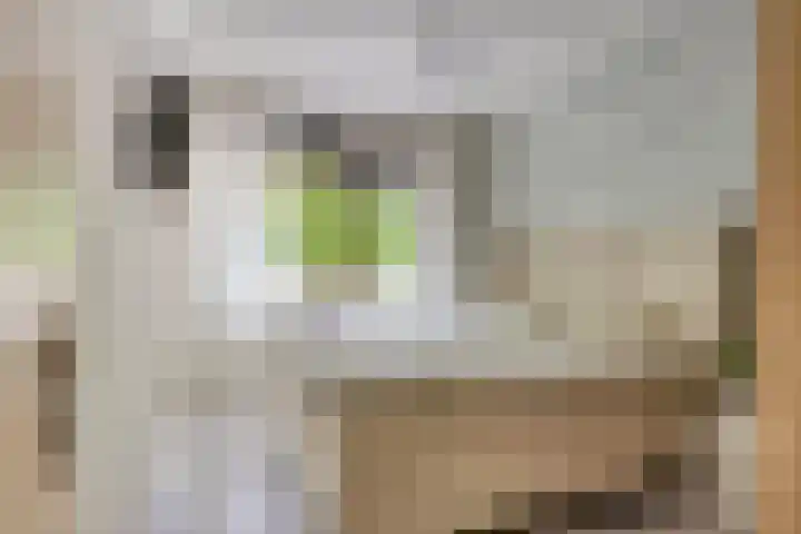 de Koppele 31 Eindhoven thumbnail 23