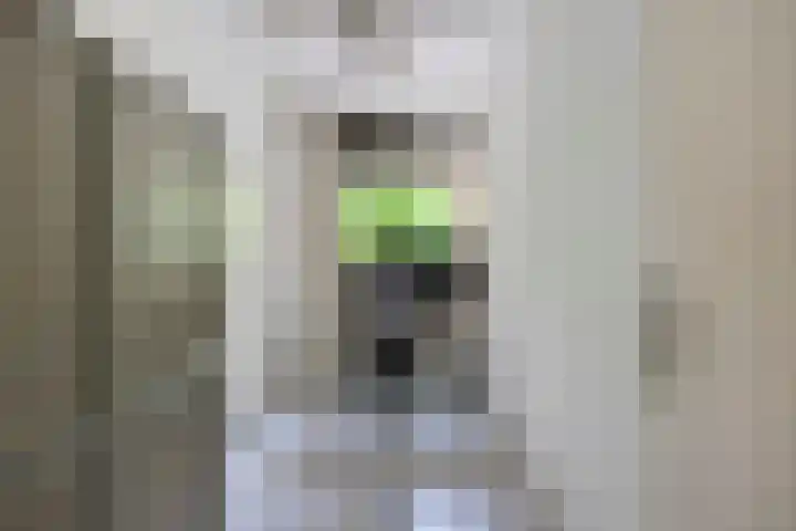 de Koppele 31 Eindhoven thumbnail 27