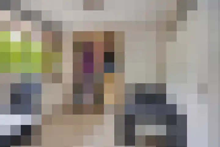 de Koppele 31 Eindhoven thumbnail 29