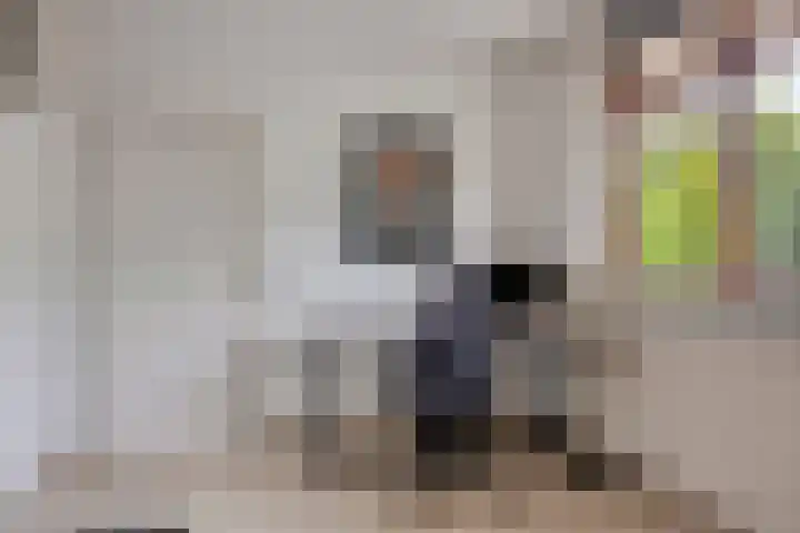 de Koppele 31 Eindhoven thumbnail 30