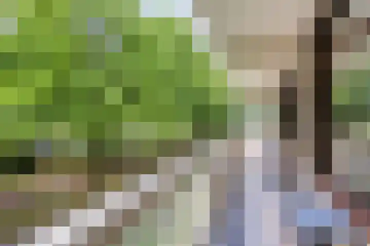 de Koppele 31 Eindhoven thumbnail 31