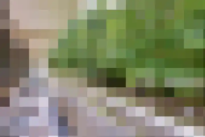 de Koppele 31 Eindhoven thumbnail 32