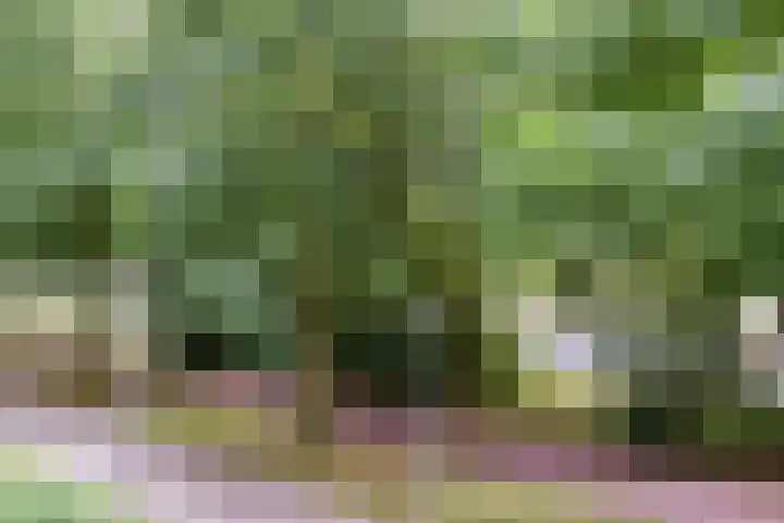 de Koppele 31 Eindhoven thumbnail 33