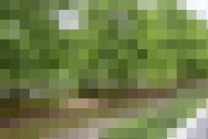 de Koppele 31 Eindhoven thumbnail 34