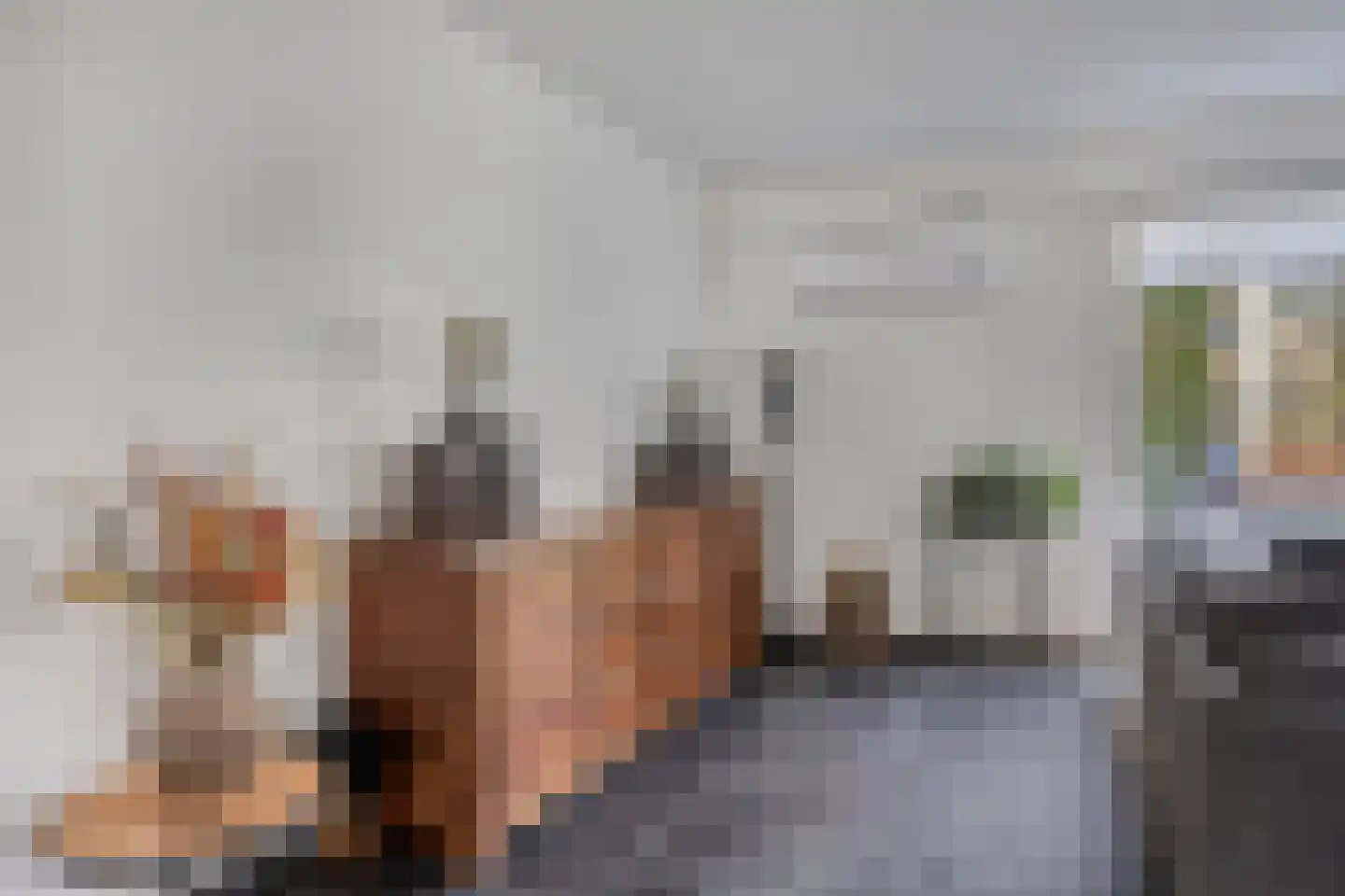 de Koppele 32 Eindhoven thumbnail 10