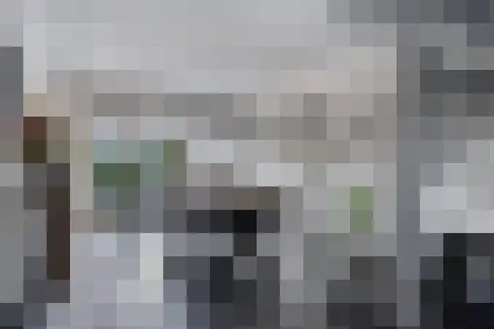 de Koppele 32 Eindhoven thumbnail 11