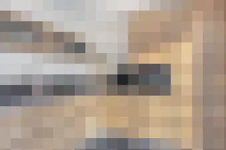 de Koppele 32 Eindhoven thumbnail 14