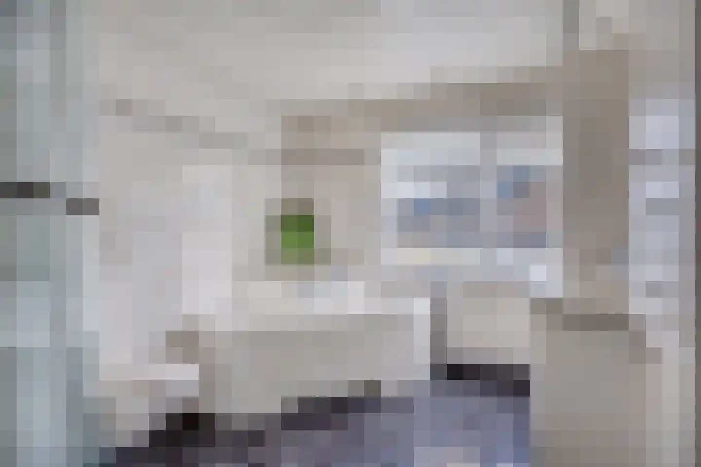 de Koppele 32 Eindhoven thumbnail 22