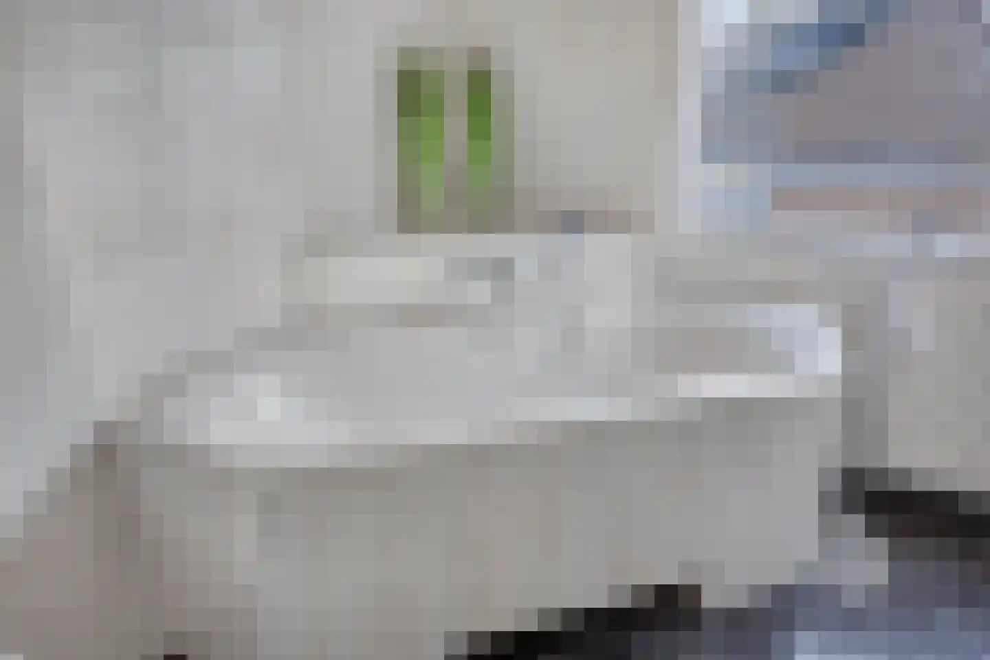 de Koppele 32 Eindhoven thumbnail 23