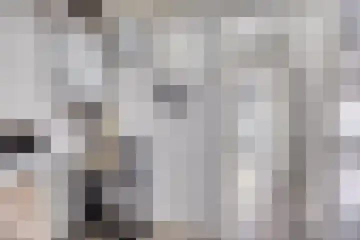 de Koppele 32 Eindhoven thumbnail 35