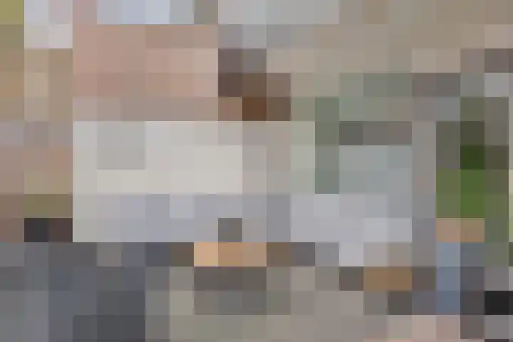 de Koppele 32 Eindhoven thumbnail 37