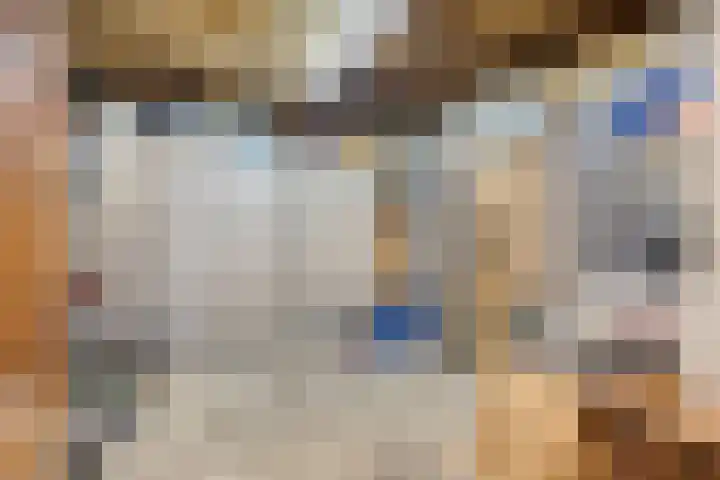 de Koppele 32 Eindhoven thumbnail 42