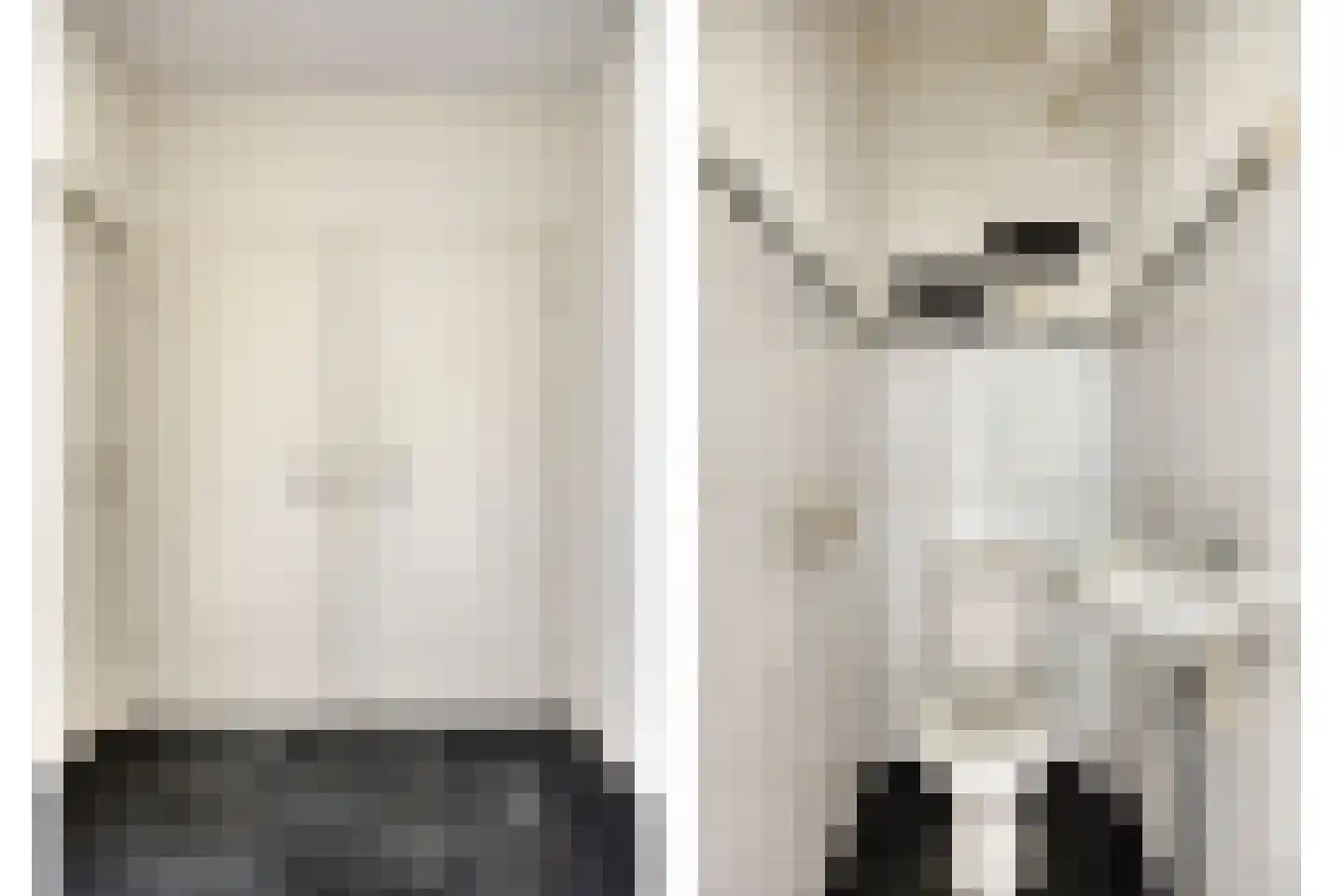 de Koppele 337 Eindhoven thumbnail 35