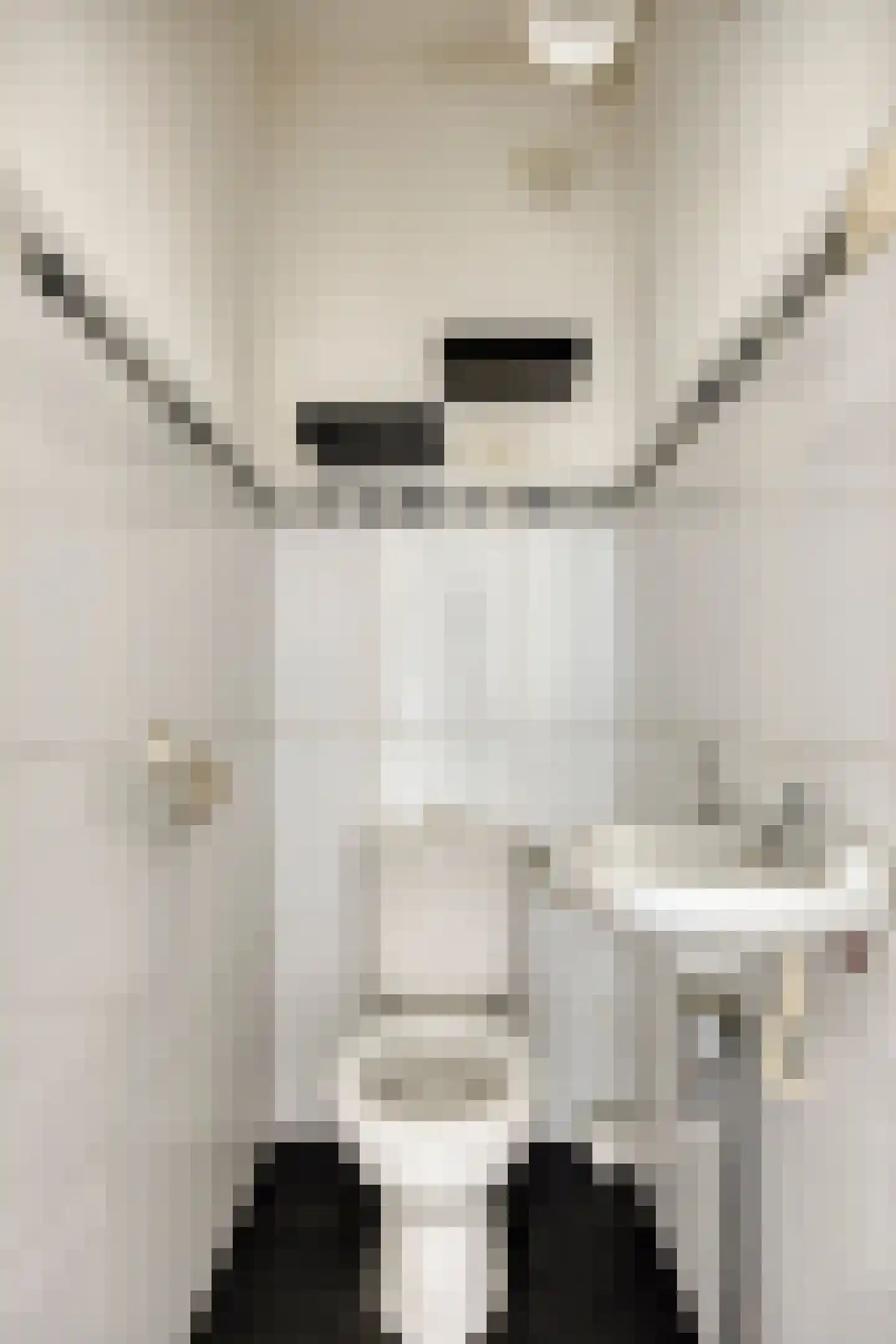 de Koppele 337 Eindhoven thumbnail 36