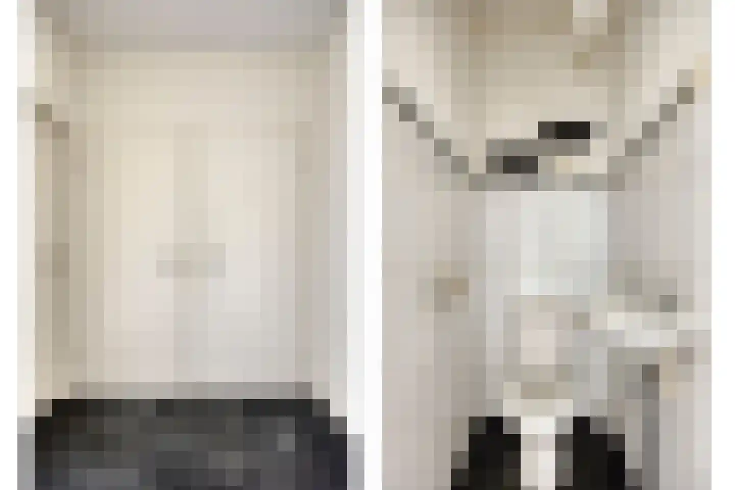 de Koppele 337 Eindhoven thumbnail 38