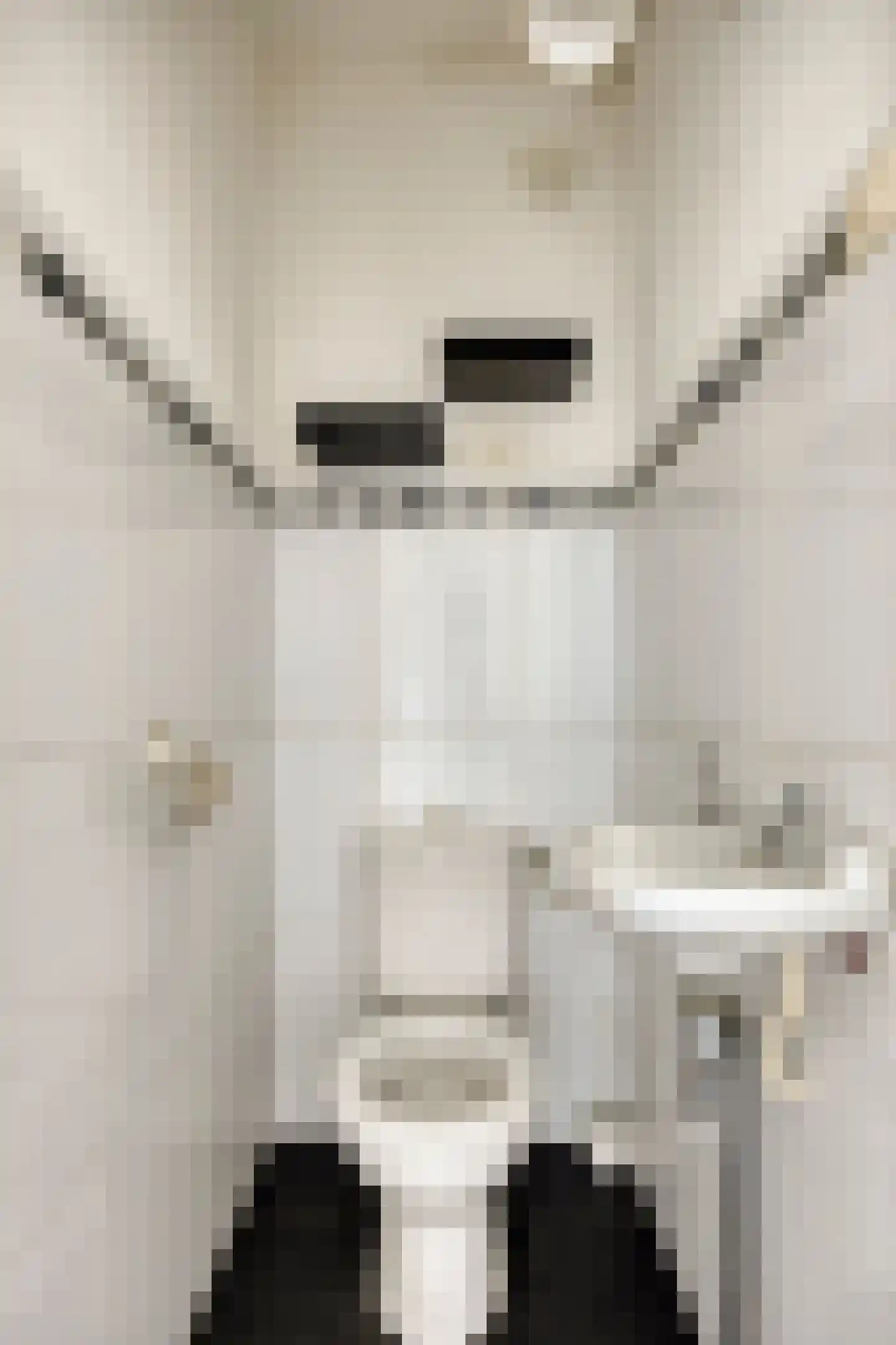 de Koppele 337 Eindhoven thumbnail 39