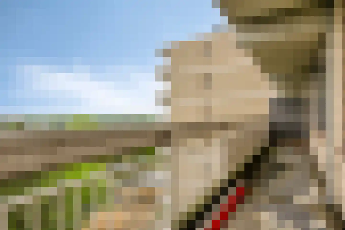 de Koppele 337 Eindhoven thumbnail 40