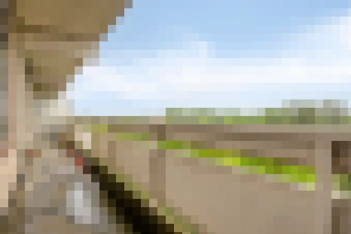 de Koppele 337 Eindhoven thumbnail 41