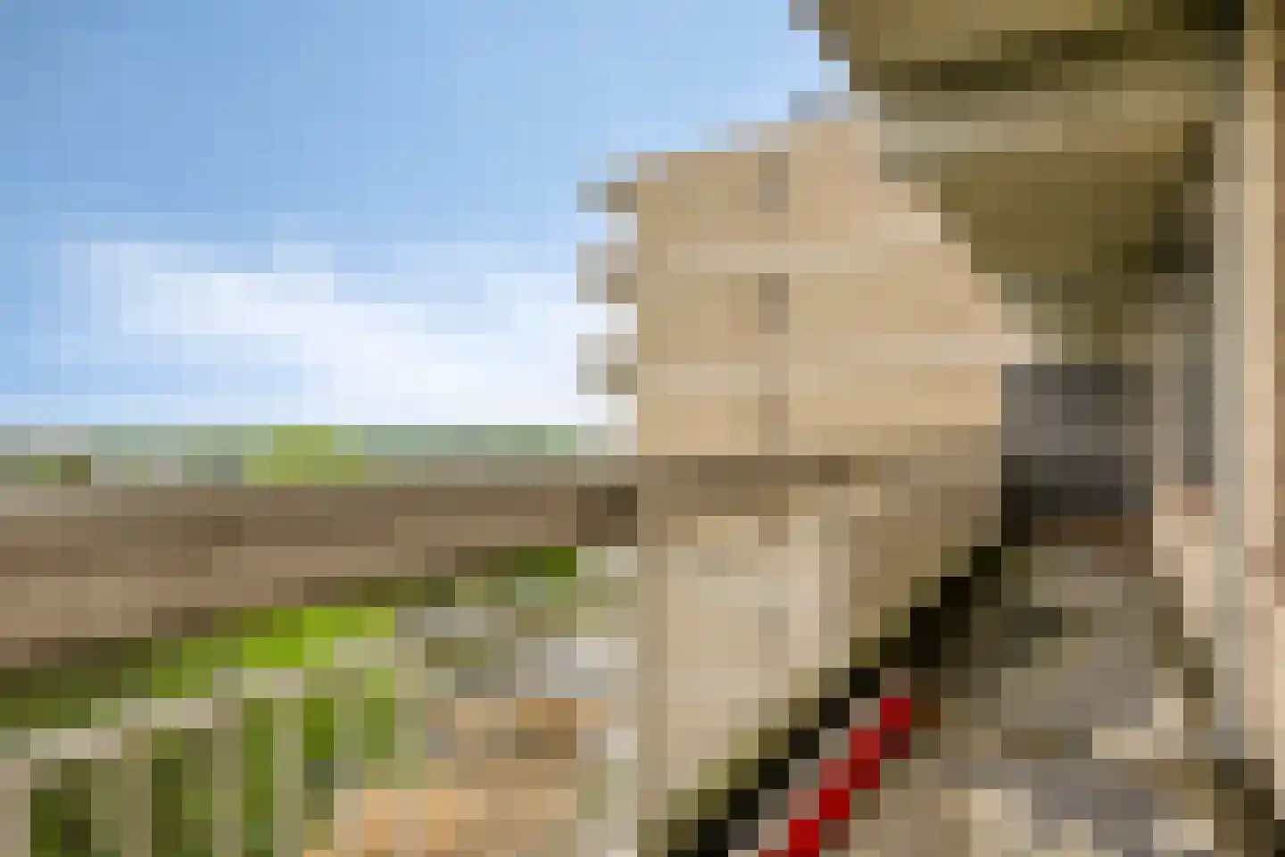 de Koppele 337 Eindhoven thumbnail 41