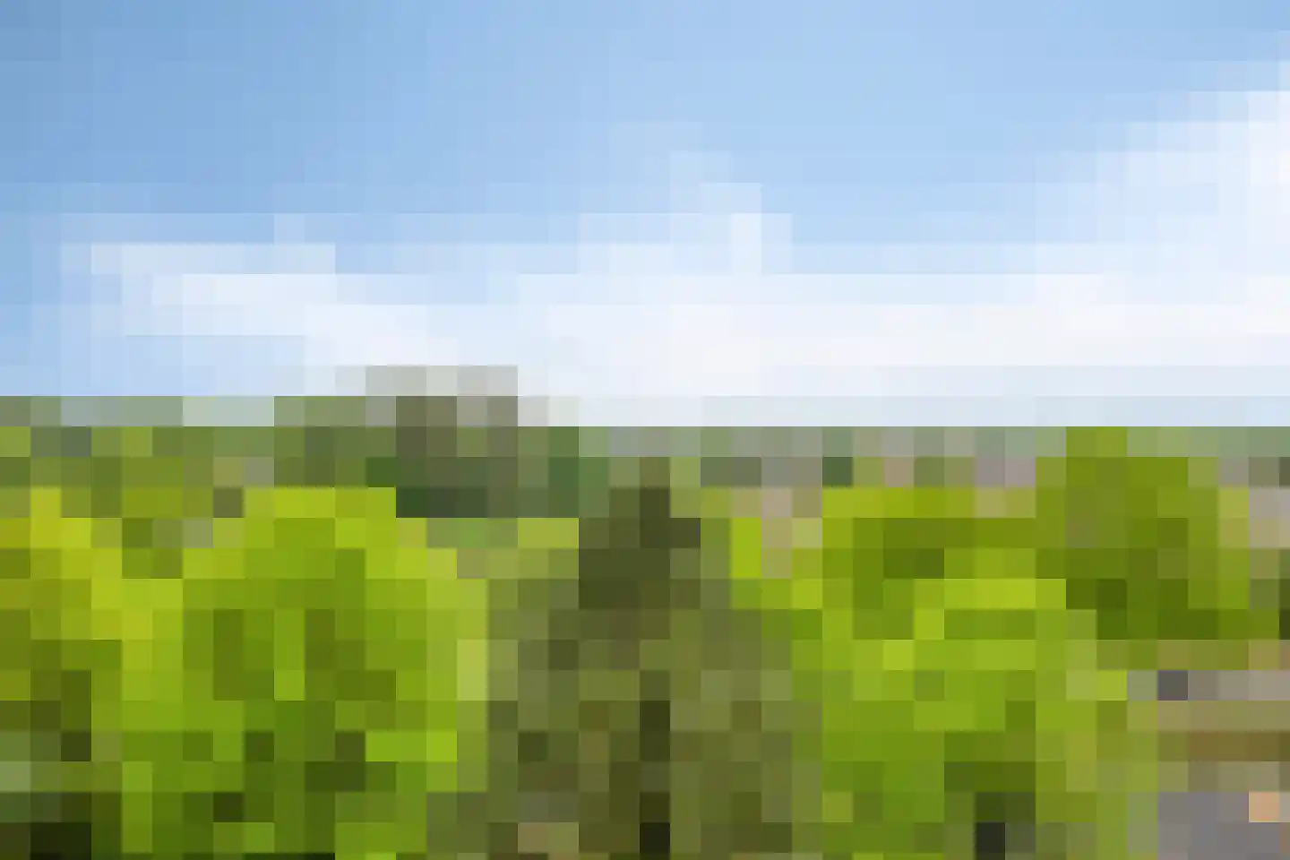 de Koppele 337 Eindhoven thumbnail 42