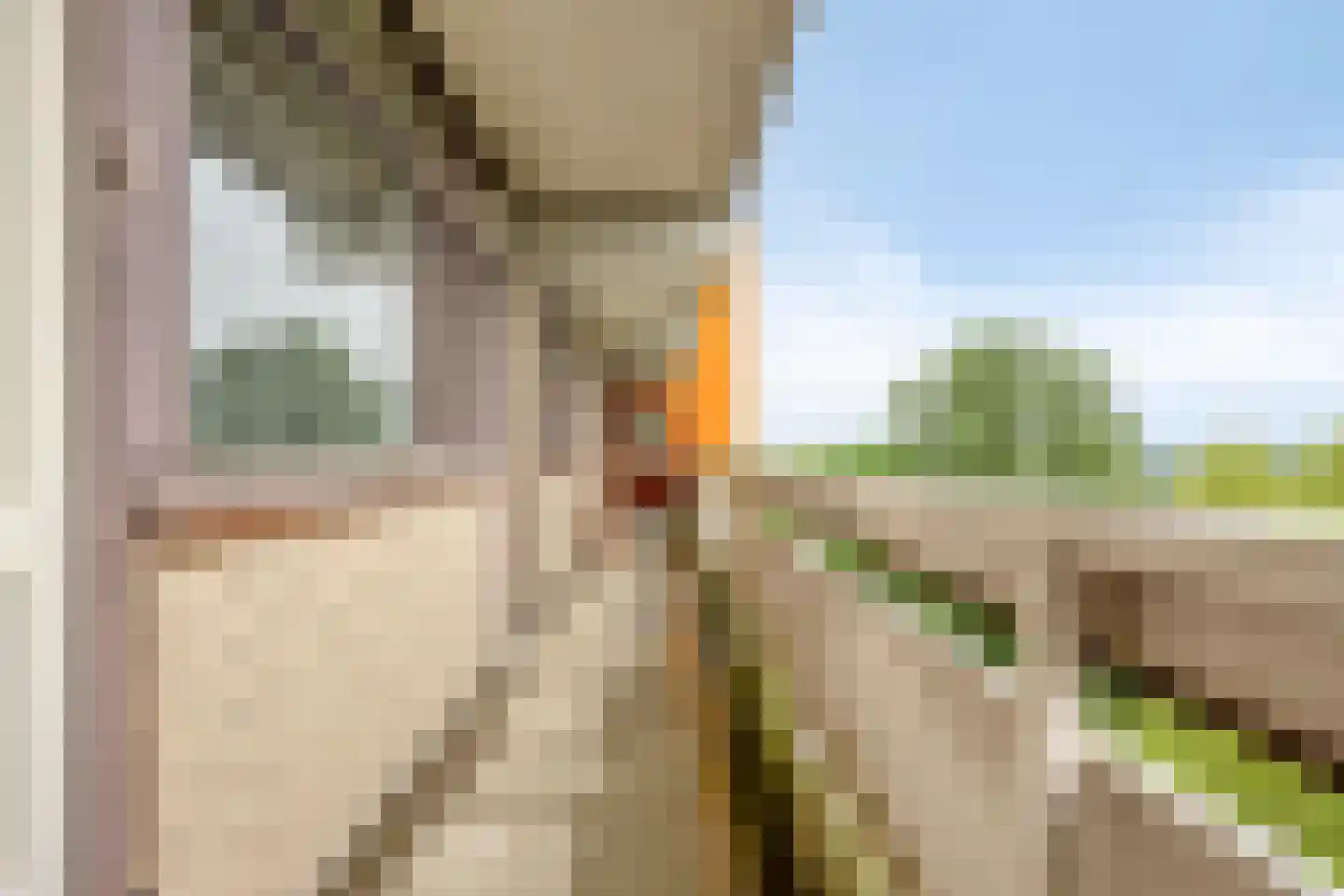 de Koppele 337 Eindhoven thumbnail 43
