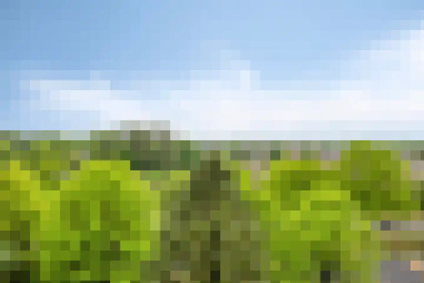 de Koppele 337 Eindhoven thumbnail 54