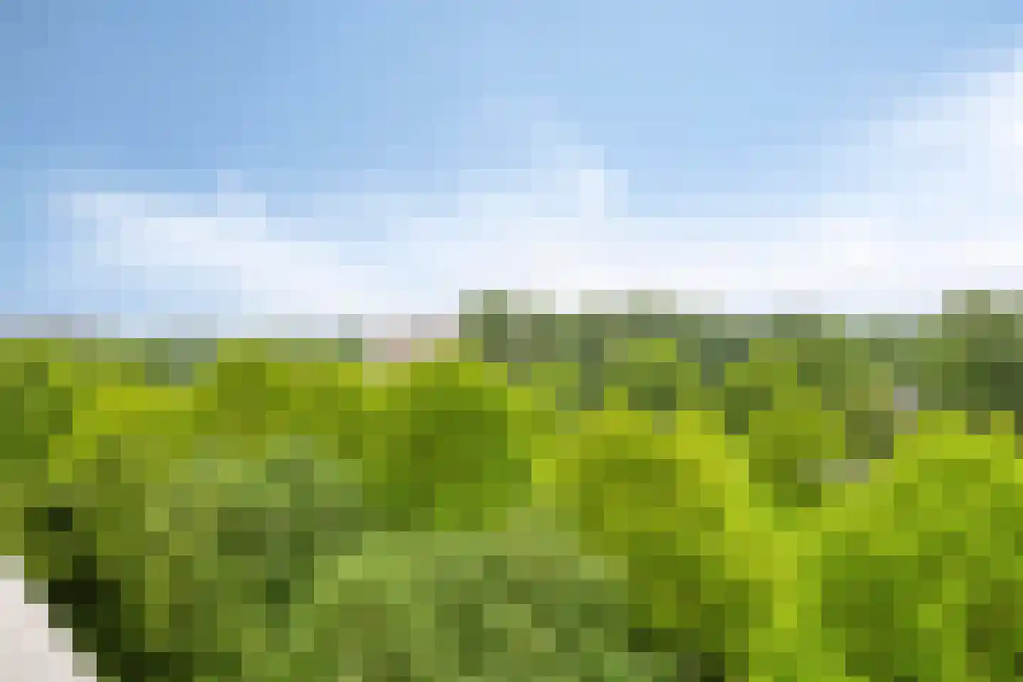 de Koppele 337 Eindhoven thumbnail 55