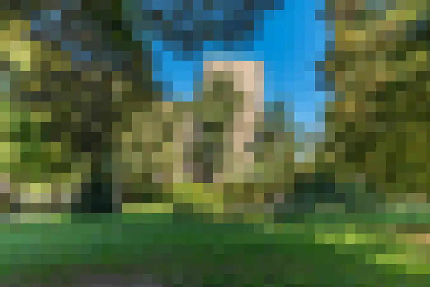 de Koppele 341 Eindhoven thumbnail 56