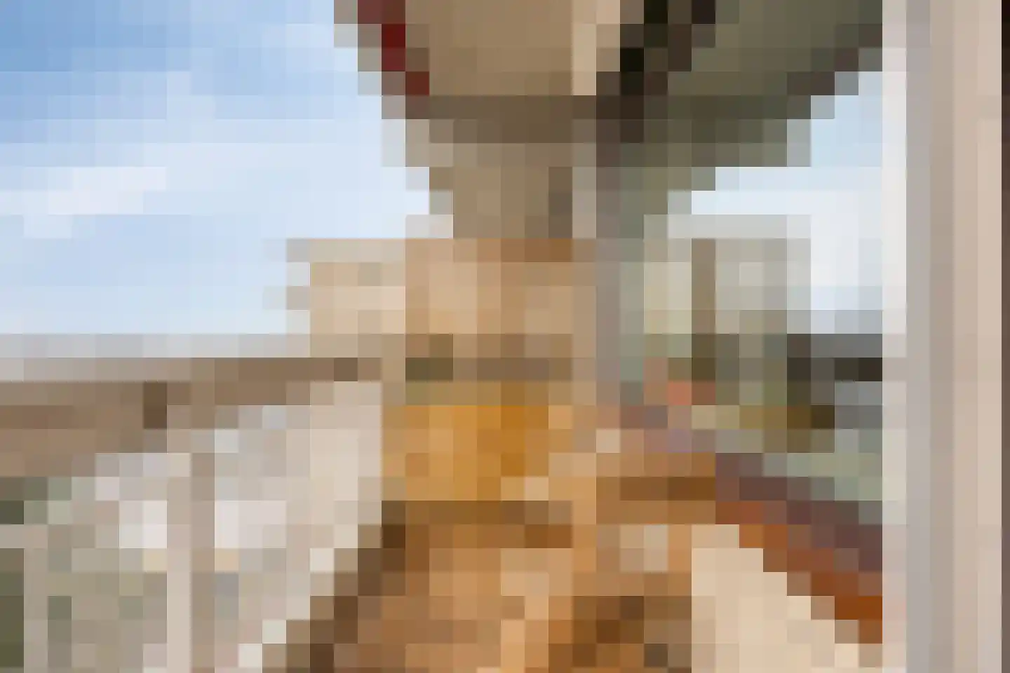 de Koppele 351 Eindhoven thumbnail 10