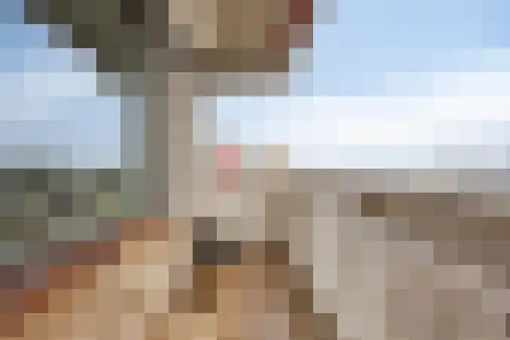 de Koppele 351 Eindhoven thumbnail 11