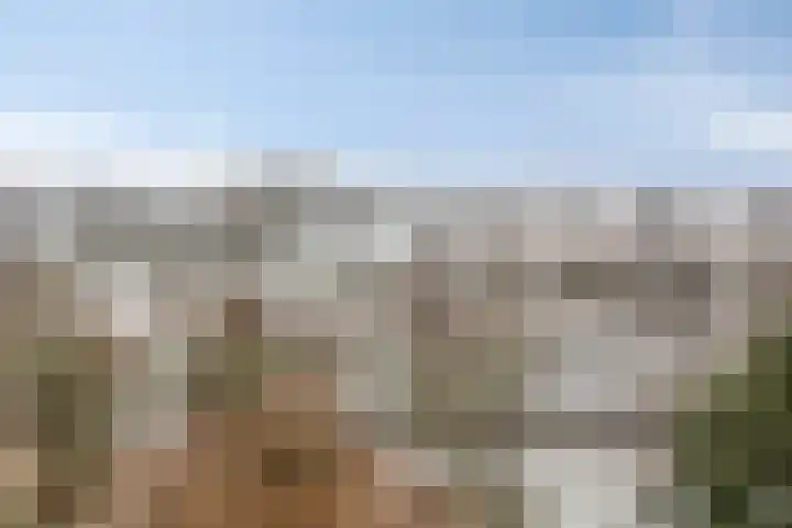 de Koppele 351 Eindhoven thumbnail 12