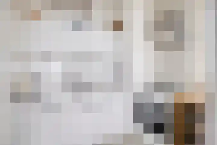 de Koppele 351 Eindhoven thumbnail 14