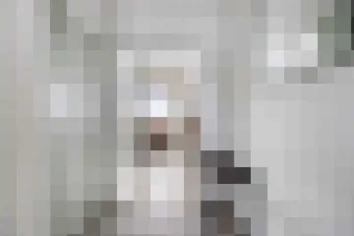 de Koppele 351 Eindhoven thumbnail 17