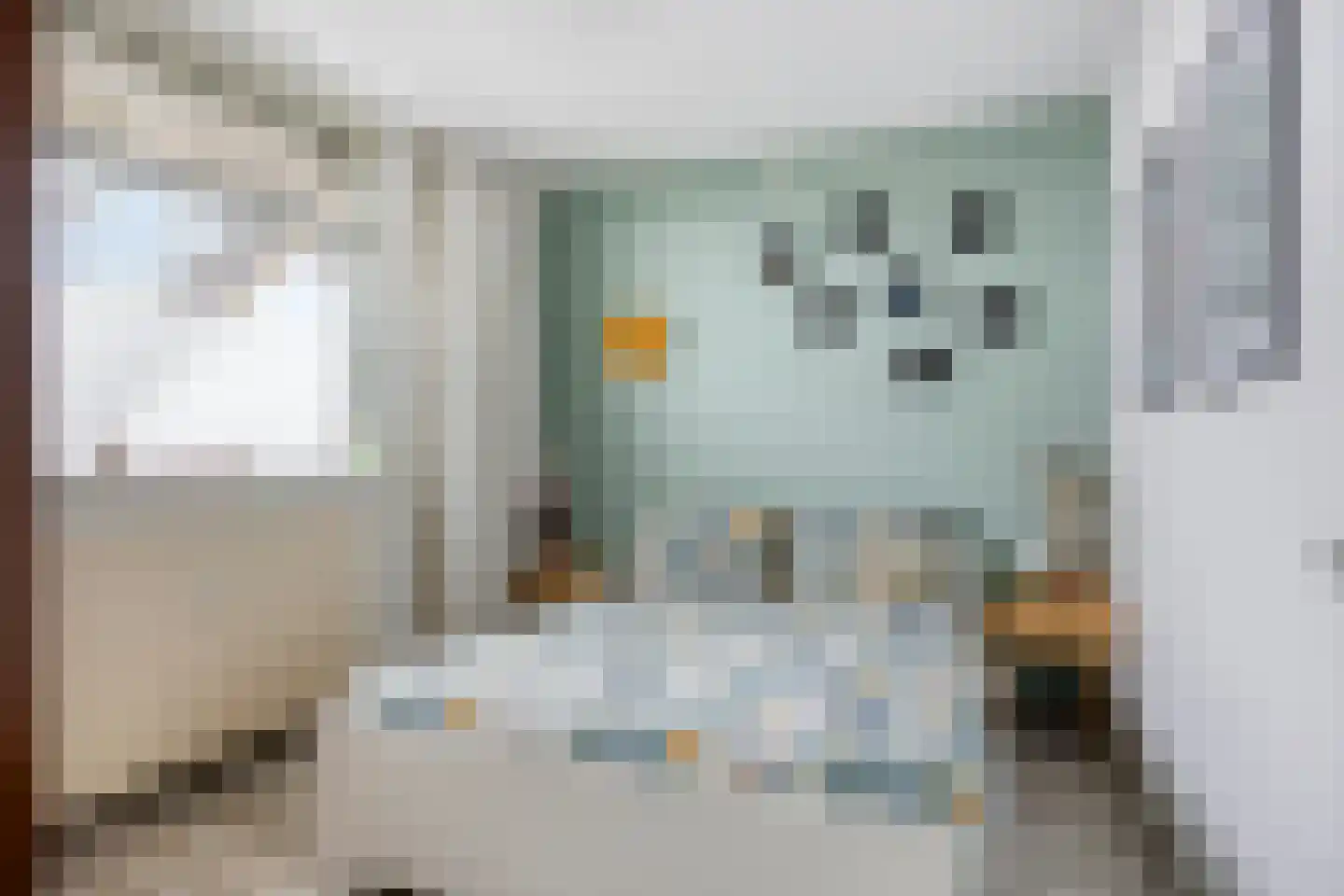 de Koppele 351 Eindhoven thumbnail 18