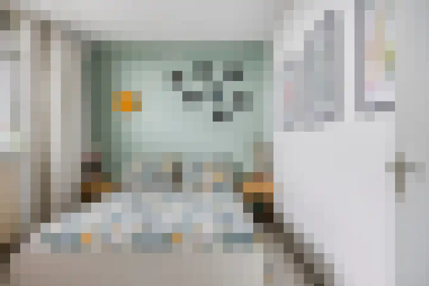 de Koppele 351 Eindhoven thumbnail 19