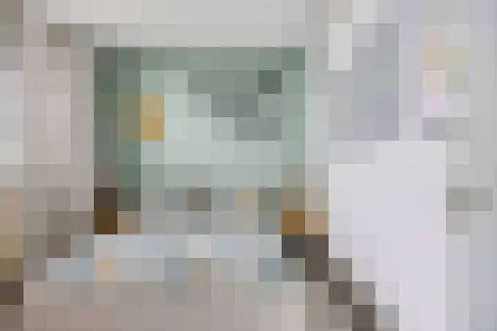 de Koppele 351 Eindhoven thumbnail 19