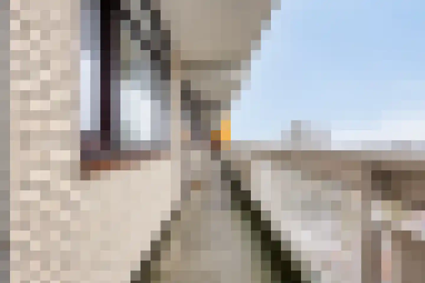 de Koppele 351 Eindhoven thumbnail 28
