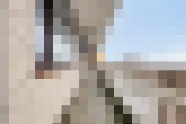 de Koppele 351 Eindhoven thumbnail 28