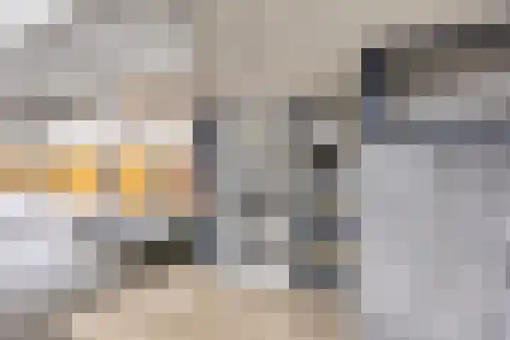 de Koppele 351 Eindhoven thumbnail 32