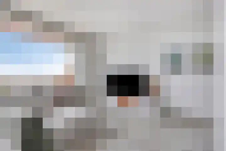 de Koppele 351 Eindhoven thumbnail 6