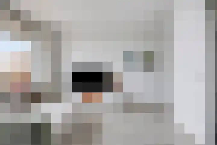 de Koppele 351 Eindhoven thumbnail 7